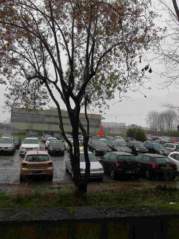 tesla 2018 parque.jpg (207.62 KiB) Visto 8991 vezes será que o dono anda por cá?